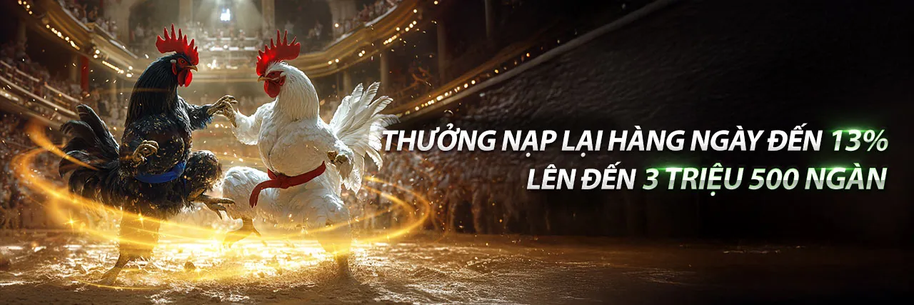 Giao diện chính thức 123b với các trò chơi cá cược trực tuyến